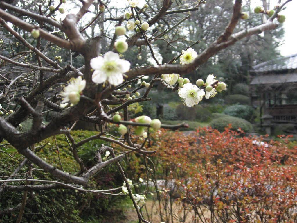 Gosho Nishi Kyoto Heian Hotel Exteriér fotografie